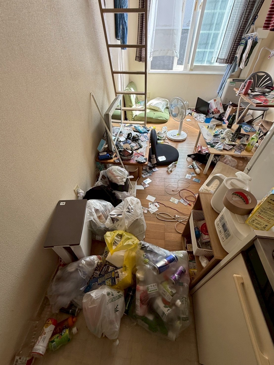 Before Image